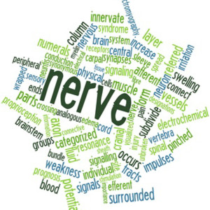 Word cloud for Nerve